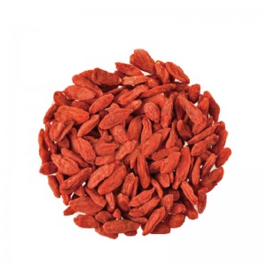 Goji Berries Small 580 Low Pesticide Residue Ningxia Bulk Wholesale