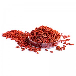 Goji Berries Small 580 Low Pesticide Residue Ningxia Bulk Wholesale