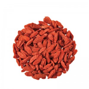 Organic Red Goji Berries 280 Free Sample OEM/ODM Wholesale